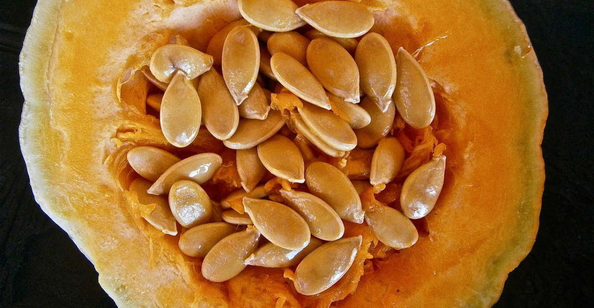 Pumpkin Seeds